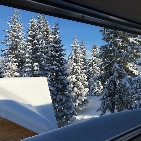 Apartmani Mont 1 Núi Núi Jahorina Ngoại thất bức ảnh